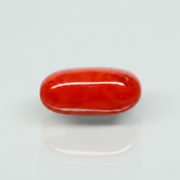 Natural Red Italian Coral |12H50| Oval Cabochon| Govt. Lab Certified | Report No. 12675D51969