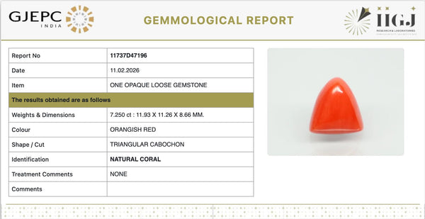 Natural Red Italian Coral | Triangular Cabochon | Govt. Lab Certified | Report No. 11737D47196