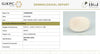Natural Opal | Oval Cabochon | IIGJ Certified No.: 12859D52929