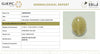 Natural Cat's Eye | Oval Cabochon | IIGJ Certified No.: 12859D52930