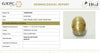 Natural Cat's Eye | Oval Cabochon | IIGJ Certified No.: 12859D52932