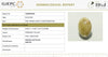 Natural Cat's Eye | Oval Cabochon | IIGJ Certified No.: 12859D52933