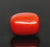 Natural Red Italian Coral |5H50| Cushion Cabochon | Govt. Lab Certified | Report No. 12993D53477