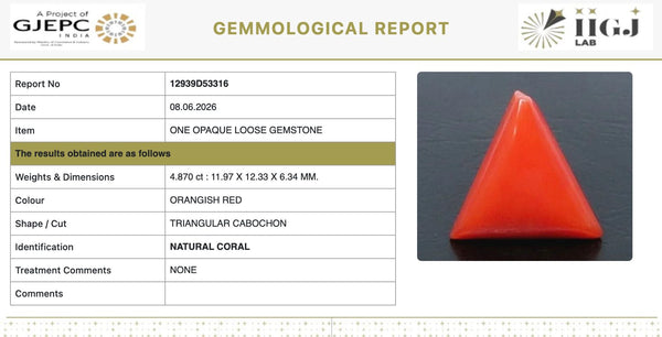 Natural Red Italian Coral |6H50| Triangular Cabochon | Govt. Lab Certified | Report No. 12939D53316