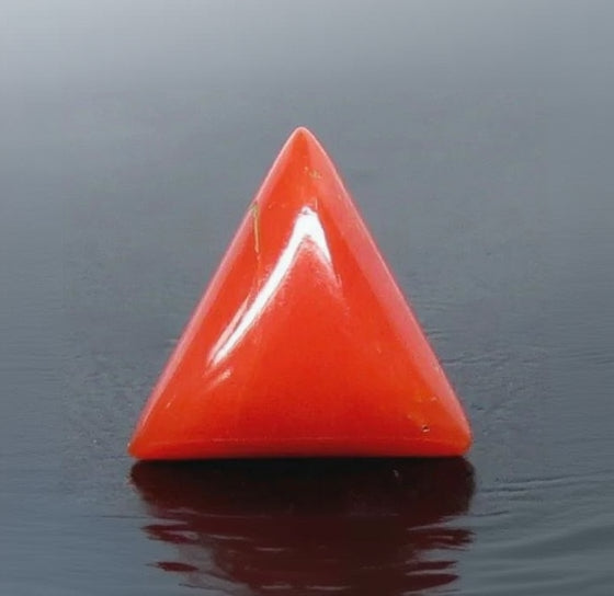 Natural Red Italian Coral |6H50| Triangular Cabochon | Govt. Lab Certified | Report No. 12939D53317
