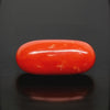 Natural Red Italian Coral |5H50| Oval Cabochon | Govt. Lab Certified | Report No. 12993D53475