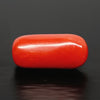 Natural Red Italian Coral |6H50| Cylindrical Specimen | Govt. Lab Certified | Report No. 12993D53478