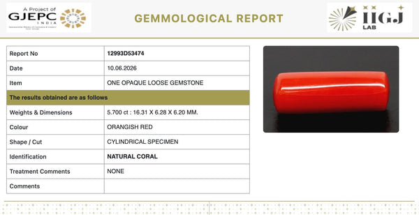 Natural Red Italian Coral |5H50| Cylindrical Specimen | Govt. Lab Certified | Report No. 12993D53474