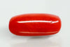 Natural Red Italian Coral |16H50| Oval Cabochon | Govt. Lab Certified | Report No. 12992D53465