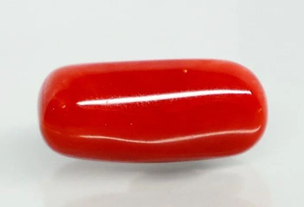Natural Red Italian Coral |14H50| Oval Cabochon | Govt. Lab Certified | Report No. 12992D53462