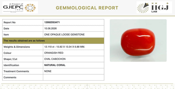 Natural Red Italian Coral |16H50| Oval Cabochon | Govt. Lab Certified | Report No. 12992D53471
