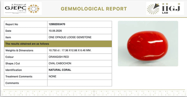 Natural Red Italian Coral |12H50| Oval Cabochon | Govt. Lab Certified | Report No. 12992D53470