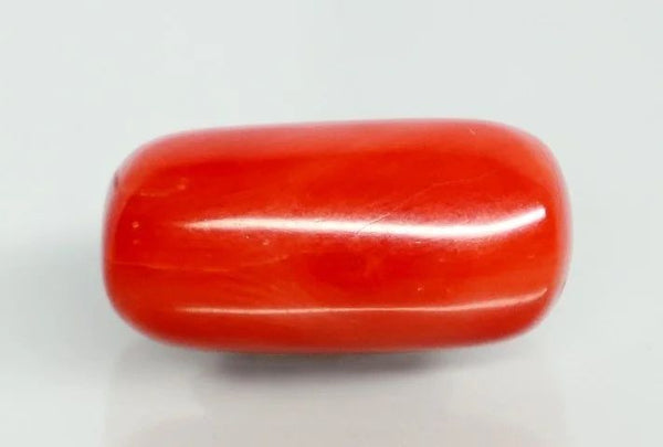 Natural Red Italian Coral |14H50| Cushion Cabochon | Govt. Lab Certified | Report No. 12992D53458