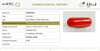 Natural Red Italian Coral |14H50| Cylindrical Specimen | Govt. Lab Certified | Report No. 12992D53459