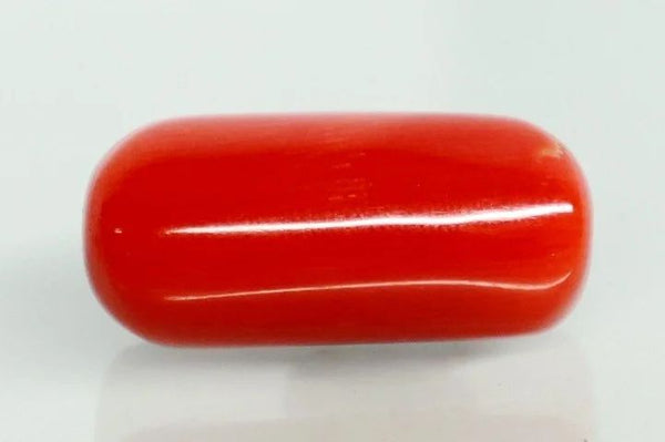 Natural Red Italian Coral |14H50| Cylindrical Specimen | Govt. Lab Certified | Report No. 12992D53468