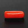 Natural Red Italian Coral |5H50| Cylindrical Specimen | Govt. Lab Certified | Report No. 12993D53473