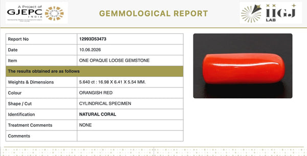 Natural Red Italian Coral |5H50| Cylindrical Specimen | Govt. Lab Certified | Report No. 12993D53473