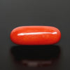 Natural Red Italian Coral |5H50| Oval Cabochon | Govt. Lab Certified | Report No. 12993D53476