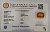 Natural Hessonite (Gomed) |8H00| Cushion | Brownish Orange Certificate No.: IGCDKBAJ48341