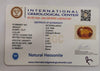 Natural Hessonite (Gomed) |8H00| Cushion | Brownish Orange Certificate No.: IGCDKBAJ48342