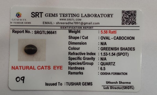 Natural Cat's Eye (Lehsunia) | 2H00 | Oval Cabochon | IGC Certified | Report No. SRGTL96641
