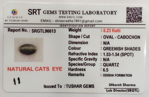 Natural Cat's Eye (Lehsunia) | 2H00 | Oval Cabochon | IGC Certified | Report No. SRGTL96613