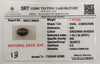 Natural Cat's Eye (Lehsunia) | 2H00 | Oval Cabochon | IGC Certified | Report No. SRGTL96635