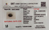 Natural Cat's Eye (Lehsunia) | 2H00 | Oval Cabochon | IGC Certified | Report No. SRGTL96628