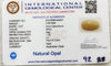 Natural White Opal|3H50| 5.00 Ratti | Cushion Cabochone | Certified No. IGCDKBAJ43007