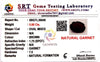 Natural Garnet Oval Mix SRT Certified No : SRGTL30646 image 2