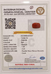 NaturalRed Coral | Certified|Capsule CutGemstone Summary No. IGCDKBAJ53527 image 2