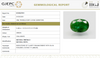 Natural Emerald | Oval Mixed Cut | Govt. Lab Certified No.: 6938D27091 image 1
