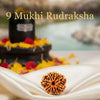 9 Mukhi Rudraksha Original Certified For Unisex Nepal Origin image 0