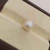 Natural South Sea Pearl – A Symbol of Elegance & Purity Summary No IGCDKBAJ42608 image 1