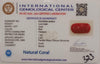 NaturalRed Coral | Certified| Oval CutGemstone Summary No. IGCDKBAJ44934 image 2