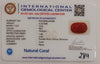 NaturalRed Coral | Certified| Oval CutGemstone Summary No. IGCDKBAJ44896 image 2