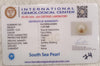 Natural South Sea Pearl – A Symbol of Elegance & Purity Summary No IGCDKBAJ42606 image 2