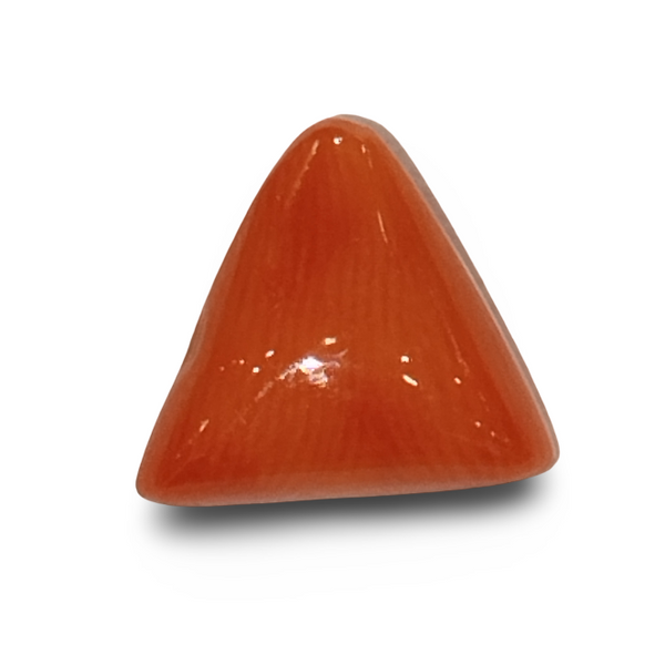 Natural Italian Red Coral | Certified Triangular Cabochon Moonga | Untreated Gemstone IGCDKBAJ42459 image 0