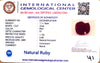 Natural Ruby | Oval Cut | IGC Certified Number: IGCDKBAJ47509 image 2