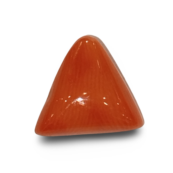 Natural Italian Red Coral | Certified Triangular Cabochon Moonga | Untreated Gemstone IGCDKBAJ42454 image 0