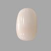 Natural White Coral: The Symbol of Peace and Strength Summary No IGCDKBAJ41531 image 1