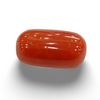 NaturalRed Coral | Certified|Oval CutGemstone Summary No. IGCDKBAJ44729 image 0