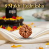 8 Mukhi Natural Rudraksha Premium – Certified Original Bead image 0