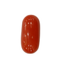 NaturalRed Coral | Certified| Oval CutGemstone Summary No. IGCDKBAJ44932 image 1