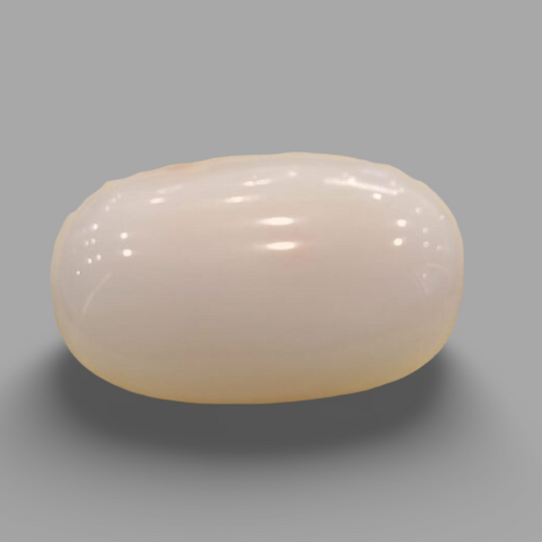 Natural White Coral: The Symbol of Peace and Strength Summary No IGCDKBAJ41489 image 0