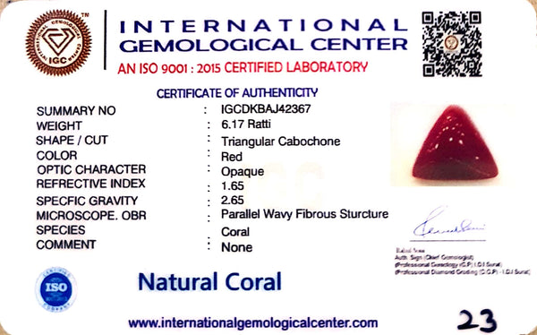 Natural Italian Red Coral | Certified Triangular Cabochon Moonga | Untreated Gemstone IGCDKBAJ42367 image 1