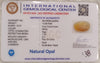 Natural White Opal 10.89 Ratti| Oval Cabochone| Certified No. IGCDKBAJ42904 image 2
