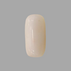 Natural White Coral: The Symbol of Peace and Strength Summary No IGCDKBAJ41487 image 1