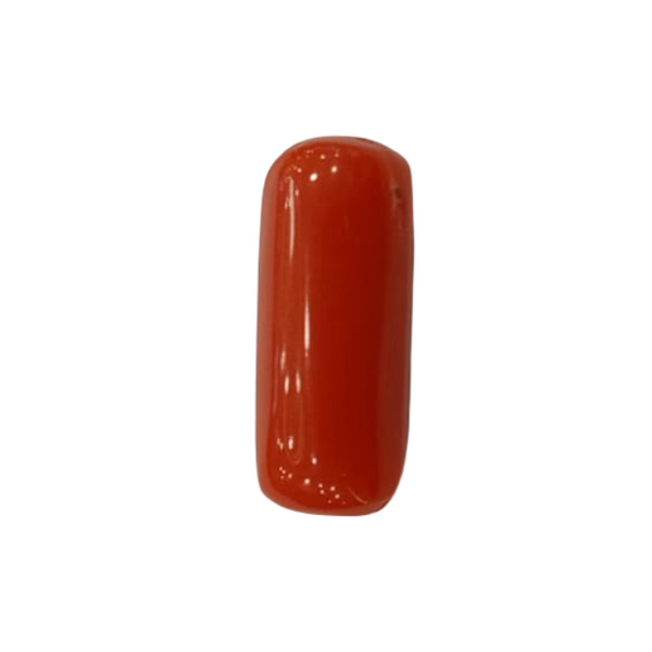 Natural Red Coral | Certified |Capsule Cut Gemstone Summary No. IGCDKBAJ44984 image 1