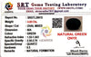 Natural Green Onex | Oval Mixed | SRT Certified No : SRGTL30615 image 2